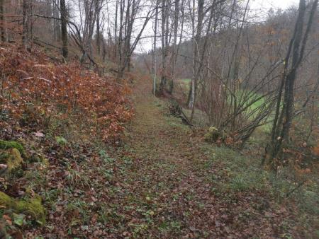 Urejanje pohodne poti Speca lepotica, foto I Zaplotnik